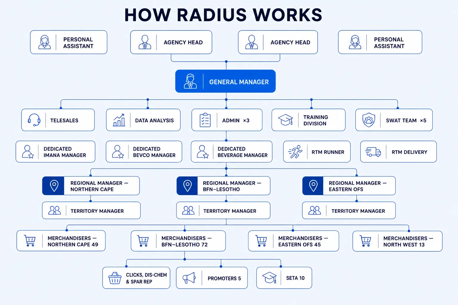 Radius organisational structure showing agency leadership, functional teams, dedicated managers, regional managers, territory managers and field teams. A detailed text equivalent follows.